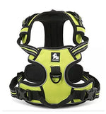 Truelove Front Range Reflective Nylon Pet Dog Harness All Weather Padded Adjustable Safety