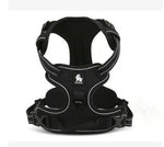 Truelove Front Range Reflective Nylon Pet Dog Harness All Weather Padded Adjustable Safety
