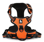 Truelove Front Range Reflective Nylon Pet Dog Harness All Weather Padded Adjustable Safety